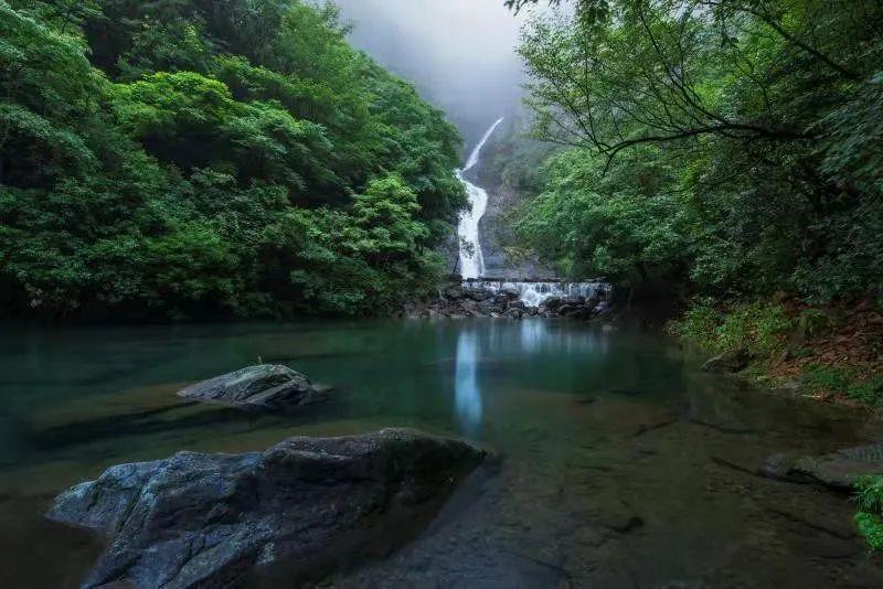 皇室家族